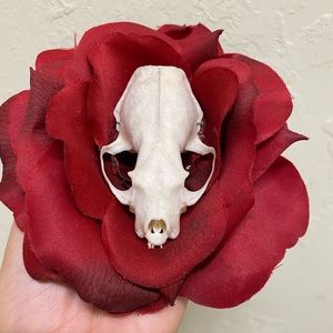 Red rose mink skull hair accessory